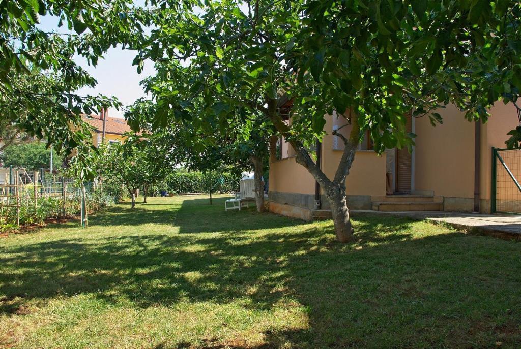 Apartments & Rooms Barbara Umag Exterior photo